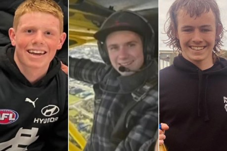 Strange noise before teen cousins die in plane crash 