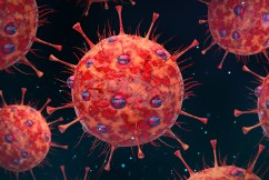 Study reveals Covid hope for cancer treatment