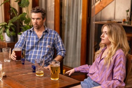 Ten top TV shows you might have missed in 2024