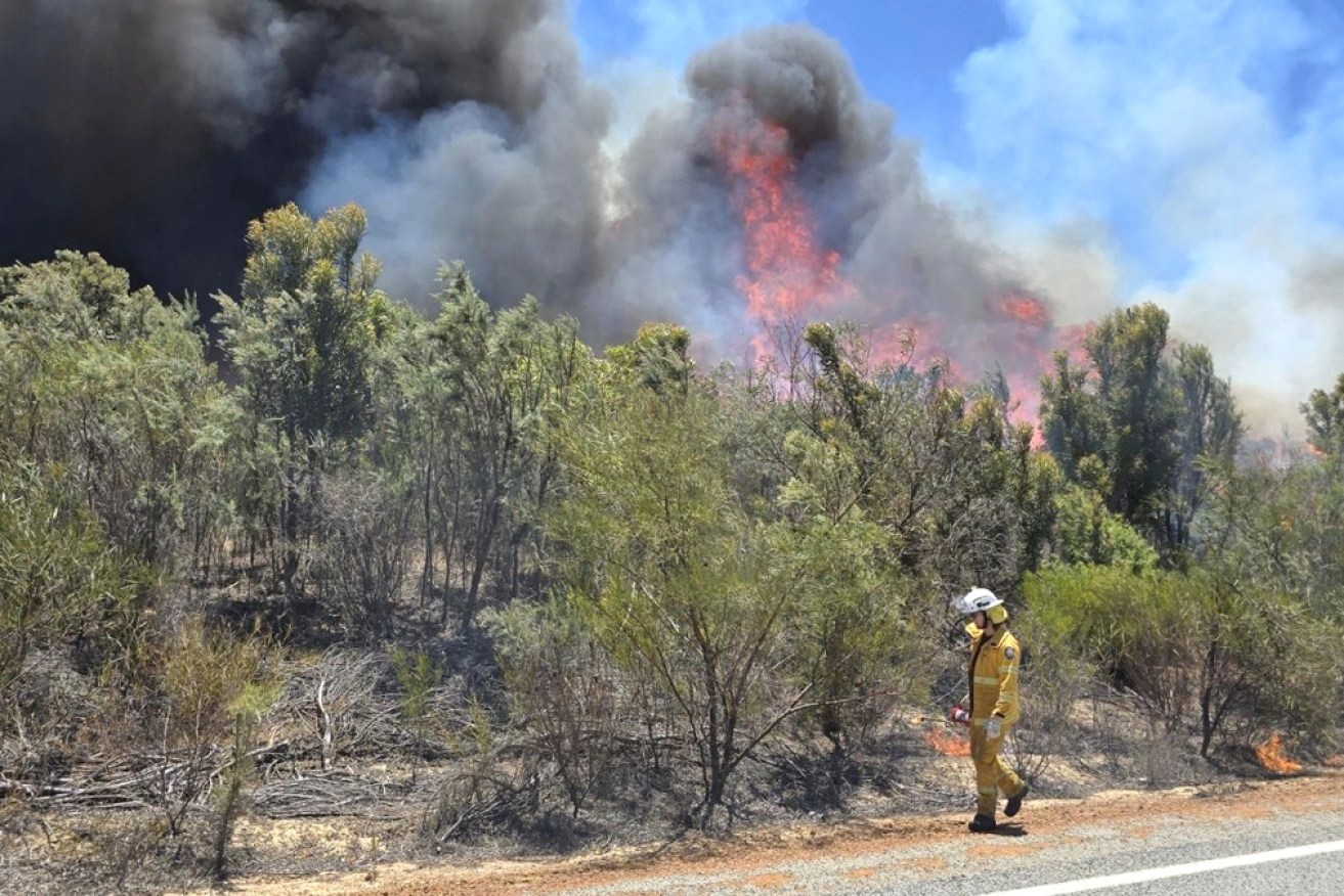 'Too late to leave' Bushfire cuts evacuation routes