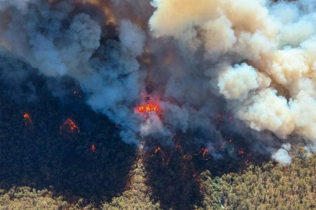 Beach rescues as fire threatens coastal towns