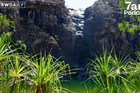 How Labor struck a deal on environment