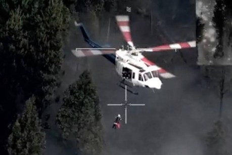 Dramatic bushfire rescue as woman waves towel
