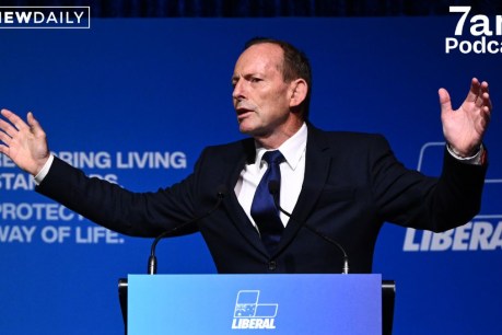 Can Tony Abbott save the Liberal Party?