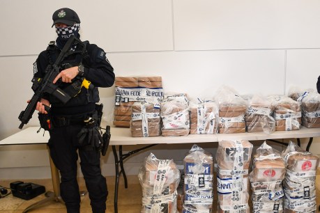 Record cocaine plot dead in water as smugglers hit snag