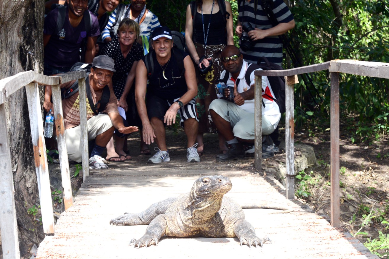 The popularity of the Komodo dragon has put extreme pressure on the fragile environment of the UNESCO World Heritage area where it lives.
