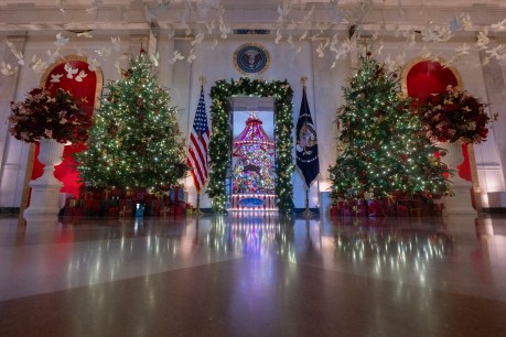Republicans pile in as Bidens unveil Xmas look