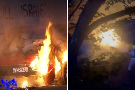 Car and homes hit in antisemitic rampage 