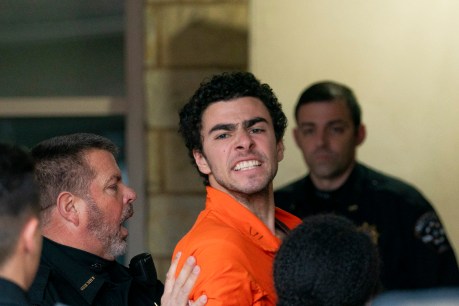 Accused health boss killer charged with terrorism