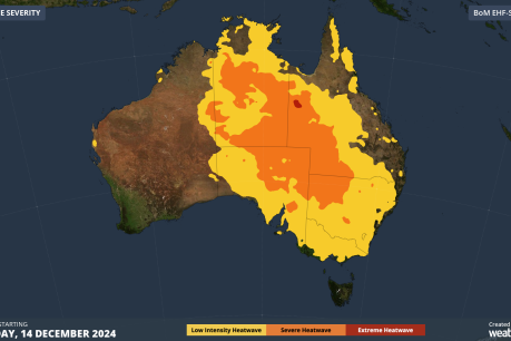 Millions to roast as mercury shoots over 40
