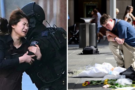 Flowers, reflection for 10th anniversary of Lindt siege