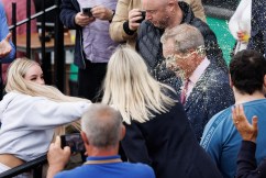 Woman sentenced for Nigel Farage milkshaking