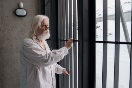 Anti-whaling activist Paul Watson freed from jail