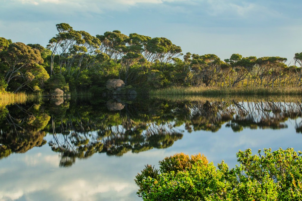 wild swimming Australia. Lonely planet pic. Please do not reuse