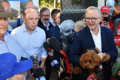 This is Labor's best chance at defeating Dutton