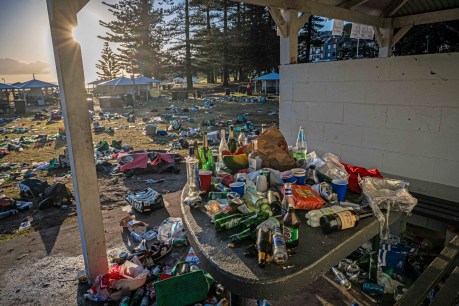 Ugly aftermath of 'disgusting' beach bash 