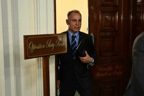Liberal leader stares down three-way tussle for job 