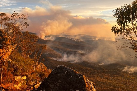 Rain brings bushfire relief, as heat persists for some