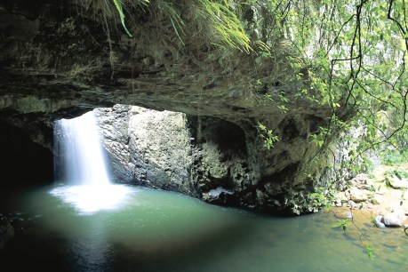Grisly discovery at busy tourist destination
