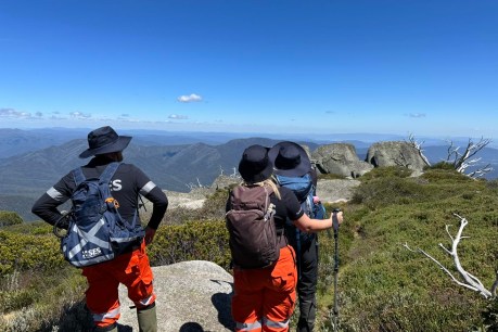 Hiker’s camera found as search in rugged bush goes on