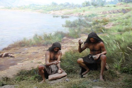 Study finds palaeolithic humans may not have heard of the paleo diet