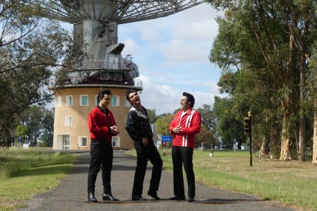 Elvises give quiet NSW town a little more action