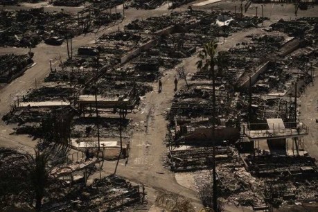 'Appalling': Charges laid against looters as LA burns
