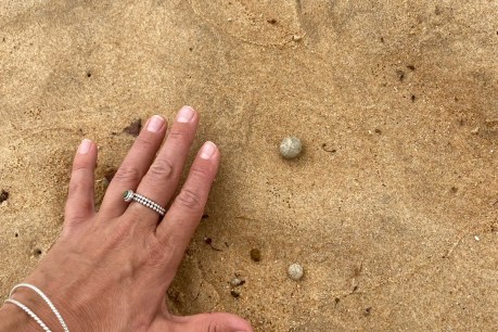 Sydney beaches closed as 'white balls' wash up