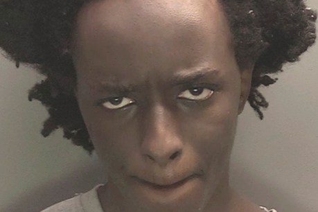 UK stabber's 'sickening interest in death, violence'