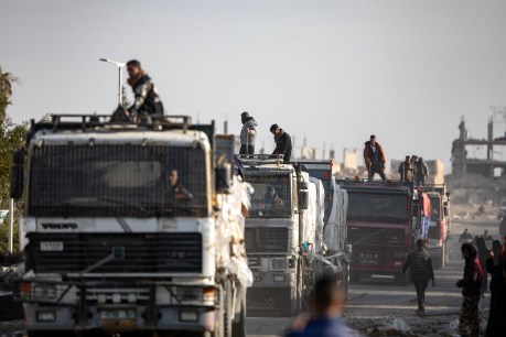 Trucks delivers urgent aid to Gaza as famine looms