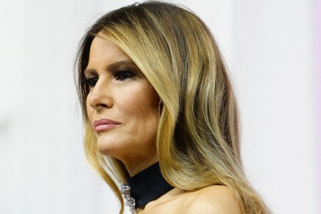 Melania Trump portrait sets internet abuzz