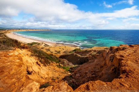 SA named 'most welcoming place on Earth'