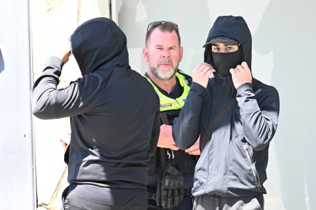 Police hunting gangland killers find second burned-out car