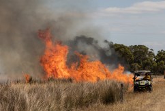 Evacuations as out-of-control bushfire grows