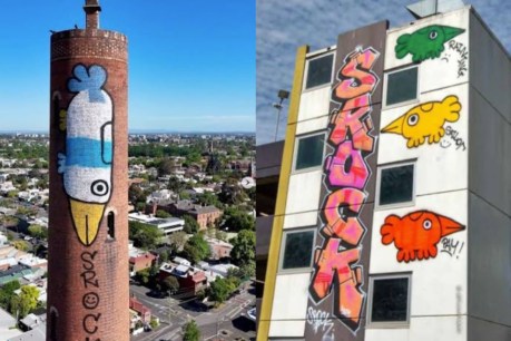 Alleged &#8216;Pam the Bird&#8217;, &#8216;Srock&#8217; graffiti vandals busted