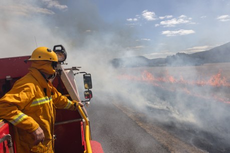 Indigenous rock art at risk as bushfires rage on