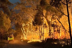 Homes, shed and fire vehicle lost in fire-hit state