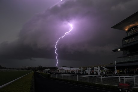 Severe storm warnings as wild weather rolls in 