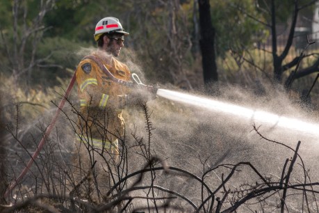 Lives under threat as uncontrolled bushfires rage