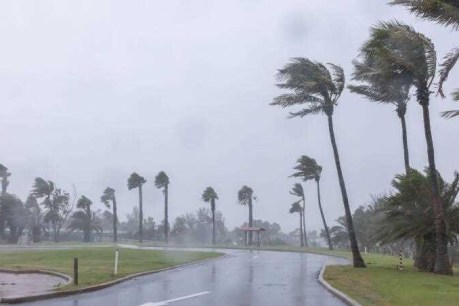 Cyclone Zelia crosses WA coast and moves inland 