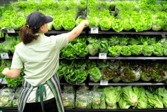 Inflation changed Woolies' price 'guardrails'
