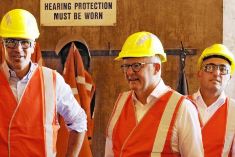Two decisions reveal Albanese's true priorities