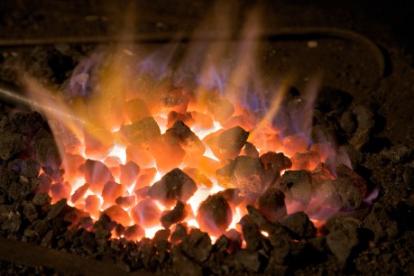 Global coal demand holds, but drops among our biggest buyers