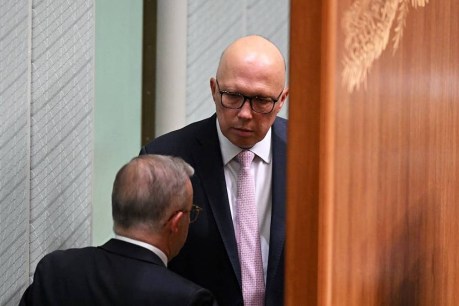 'Do what Labor does': Dutton's big call on health