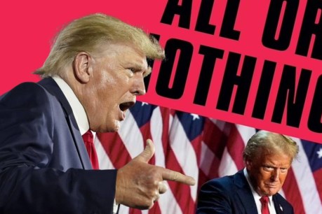 Shock claims of Trump's road to White House
