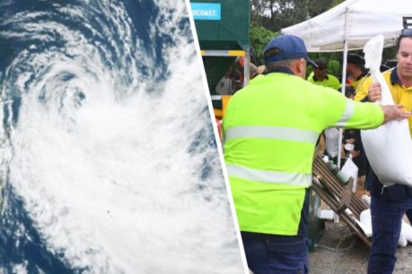 Cyclone Alfred gains intensity to category two