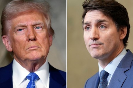 'Dumb': Trudeau strikes back in Trump trade war 
