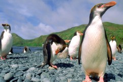 Three Aussie places on prestigious ‘must-visit’ list