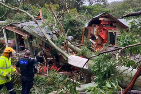 Alfred 'packs a punch' as it arrives in SEQ, NSW
