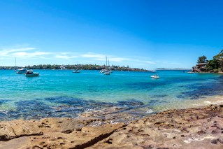 Woman attacked by shark at Sydney beach